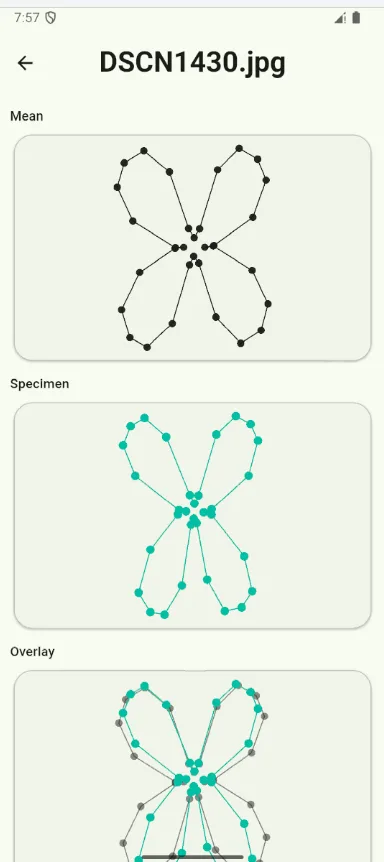 Theia screen: a specimen drawn over the population mean shape